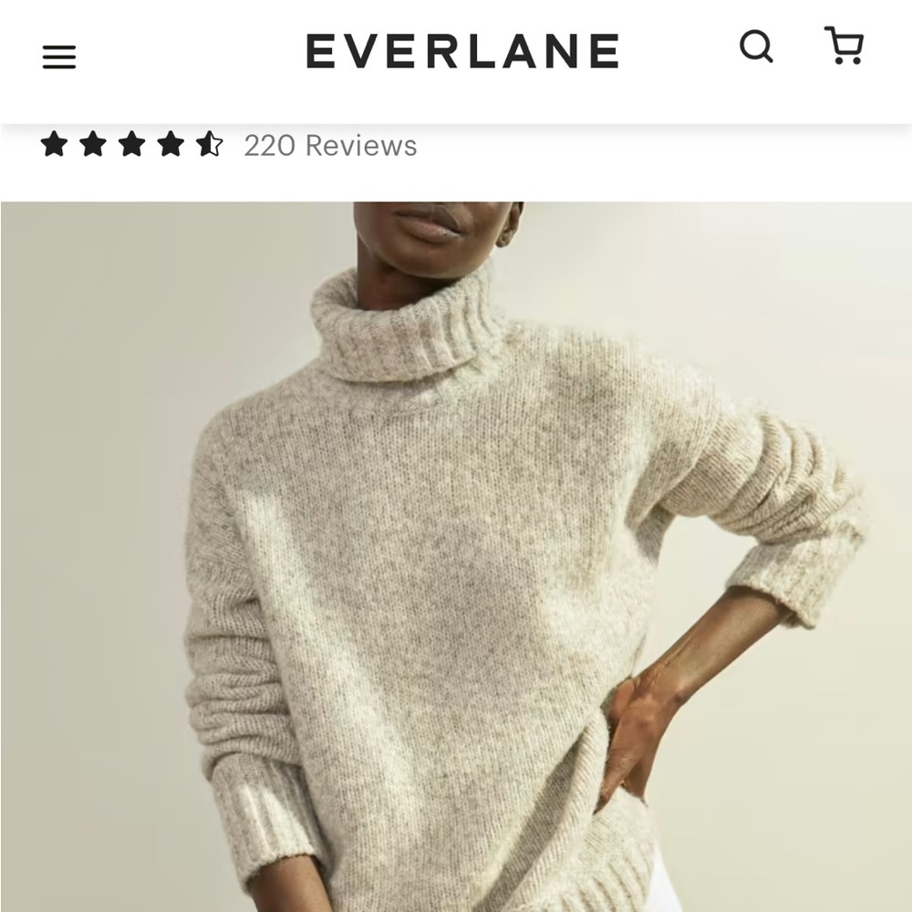 NWT Everlane cloud turtleneck in heathered ivory